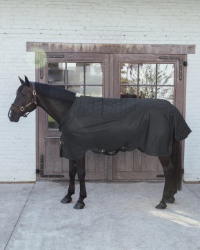 Kentucky Transportdecke Combo Cooler schwarz